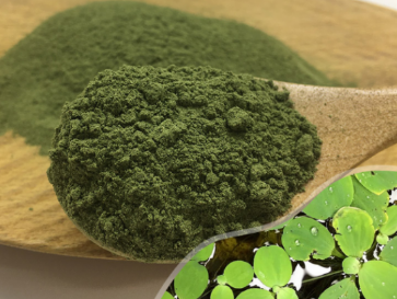 陜西恒植源|用于家畜、水產(chǎn)養(yǎng)殖和伴侶動物的動物營養(yǎng)輔料