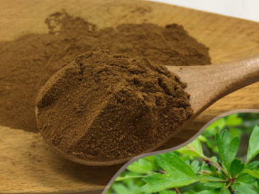 陜西恒植源|動物營養(yǎng)輔料的類別和來源