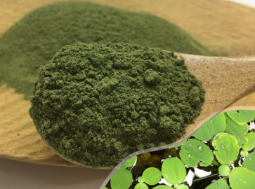 陜西恒植源 |幫助動(dòng)物營(yíng)養(yǎng)輔料：適口性