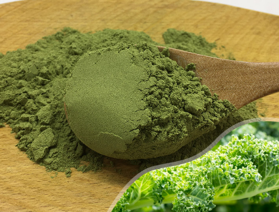有機(jī)產(chǎn)品對(duì)人體的好處|陜西恒植源